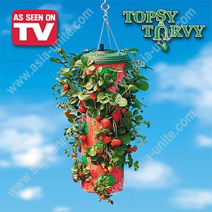 Strawberry planter