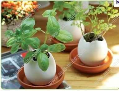 eggling