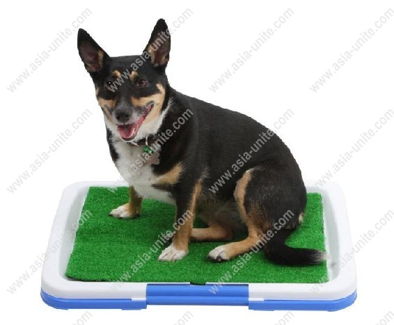 Puppy potty pad