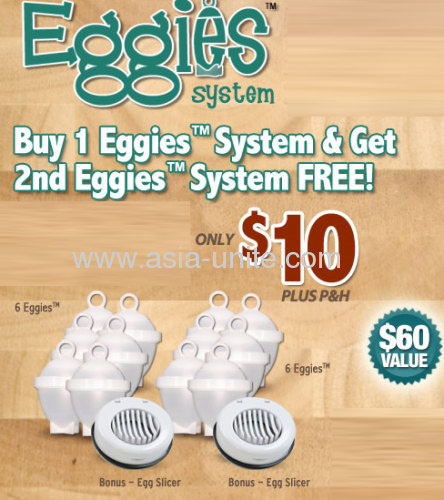 EGGIES SYSTEM REVIEW
