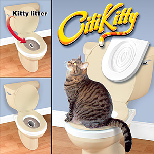 CitiKitty