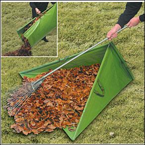 Leaves collector