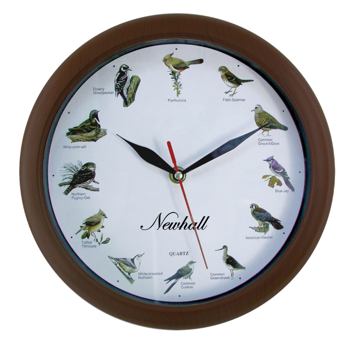Singing Bird Wall Clock