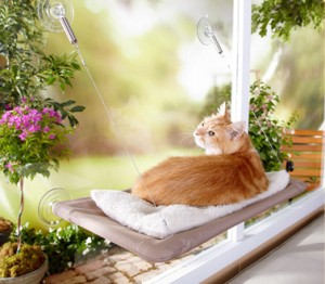 Checking Out the Sunny Seat Window Cat Bed