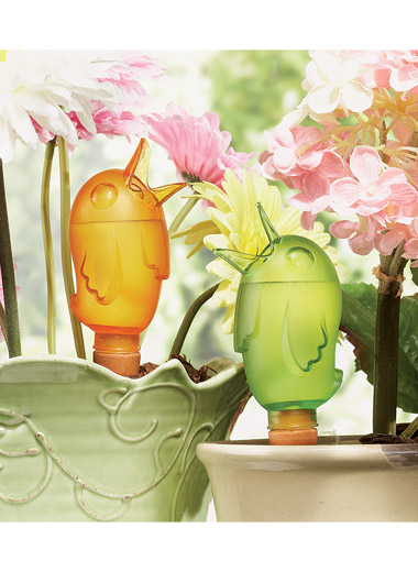 Bird Plant Waterers